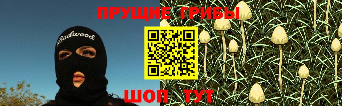 Ковров  Псилоцибиновые грибы Psilocybine cubensis  Вход с VPN 